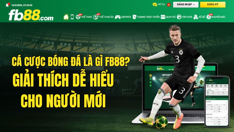 Cá Cược Bóng Đá Là Gì FB88? Giải Thích Dễ Hiểu